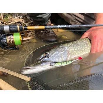 Rybářský prut Lucky John prut Anira 24 2.44m 5-24g