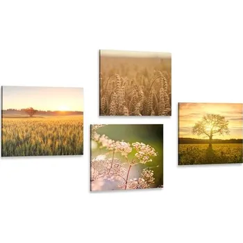 Obraz Dovido Set obrazů pole při západu slunce