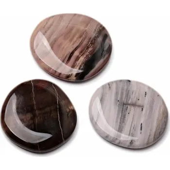 Zkamenělé dřevo placička cca 4 - 5 cm