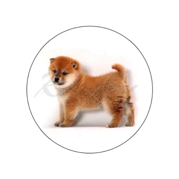 Jedlá dekorace na dort PES, VARIANTA Jedlý papír 222