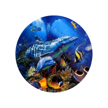 Přisada na vaření a pečení POD MOŘEM, VARIANTA Jedlý papír 538