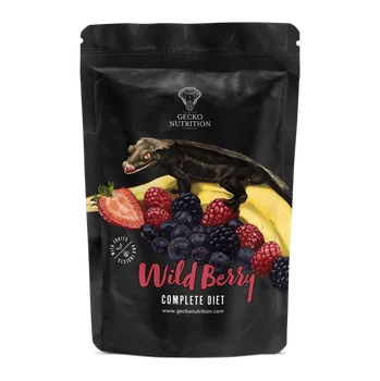 Krmivo pro terarijní zvíře Gecko Nutrition Kaše pro pagekony Lesní ovoce/banán Hmotnost: 500 g