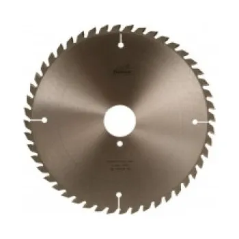 Pilový kotouč Pilový kotouč SK 300x3,6/2,5x50 5396 48 WZ Rmax 22mm - PILANA