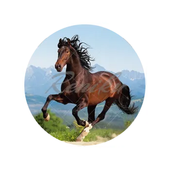 Jedlá dekorace na dort KŮŇ, VARIANTA Jedlý papír 229