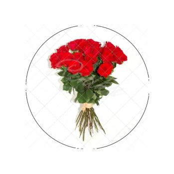 Jedlá dekorace na dort PUGET, VARIANTA Jedlý papír 415