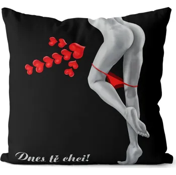 Dekorativní polštářek Polštář Dnes tě chci