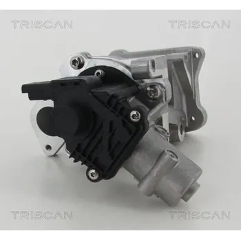 Ventil palivového systému AGR-Ventil TRISCAN 8813 10007