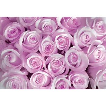 Fototapeta Vliesové fototapety růže IMPOL TRADE 142VEXXL