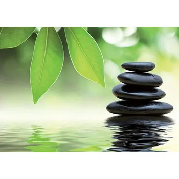 Fototapeta Vliesové fototapety wellness IMPOL TRADE 174VE