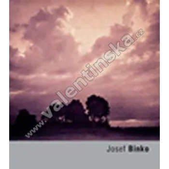 Umění Josef Binko (Fototorst č.24)