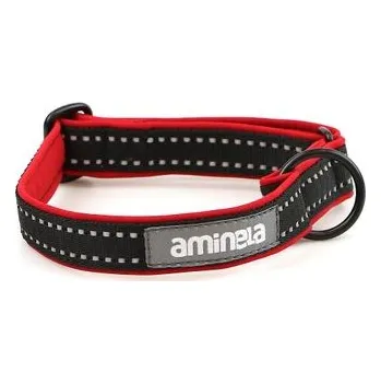 Obojek pro psa Aminela Sport & City Aminela klasik obojek Sport & City 25mm/30-50cm červená