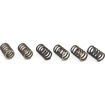Sada spojkových pružin KAWASAKI VN 800 (95-96) rok 95-96