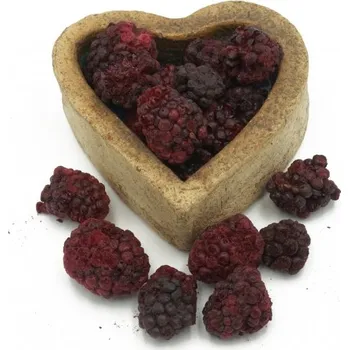 Sušená potravina FITBOY Ostružiny lyofilizované 100g 100g