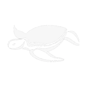 Samolepící dekorace SAMOLEPKA Želva 002 levá (09 - bílá) NA AUTO, NÁLEPKA, FÓLIE, POLEP, TUNING, VLASTNÍ TEXT, TISK, AUTOSAMOLEPKY.cz, POLEPY, OBRÁZEK, LOGO, SAMOLEPKY