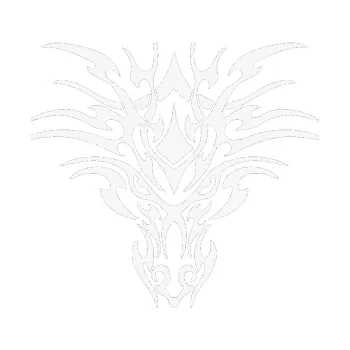 Polep vozidla SAMOLEPKA Kapota 035 (09 - bílá) NA AUTO, NÁLEPKA, FÓLIE, POLEP, TUNING, VLASTNÍ TEXT, TISK, AUTOSAMOLEPKY.cz, POLEPY, OBRÁZEK, LOGO, SAMOLEPKY