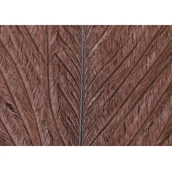 Veniard Pštrosí Peří Ostrich Herl Dark Brown
