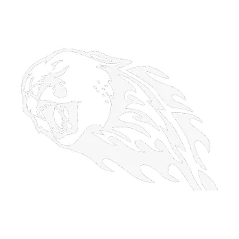 Samolepicí dekorace na vozidlo Animal flames 083 levá puma (09 - bílá) SAMOLEPKA NA AUTO, NÁLEPKA, FÓLIE, POLEP, TUNING, VLASTNÍ TEXT, TISK, AUTOSAMOLEPKY.cz, POLEPY, OBRÁZEK, LOGO, 3D STICKERS