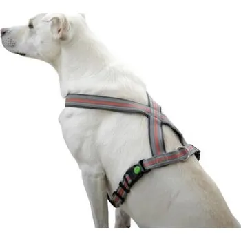 Postroj pro psa Postroj pro psy Xenos reflexní, červeno/šedý varianta 20 mm / 40 - 60 cm