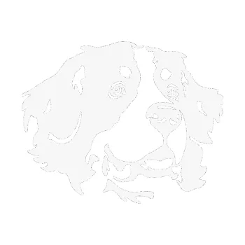 Polep vozidla Pes 131 pravá bernský salašnický pes (09 - bílá) SAMOLEPKA NA AUTO, NÁLEPKA, FÓLIE, POLEP, TUNING, VLASTNÍ TEXT, TISK, AUTOSAMOLEPKY.cz, POLEPY, OBRÁZEK, LOGO, 3D STICKERS