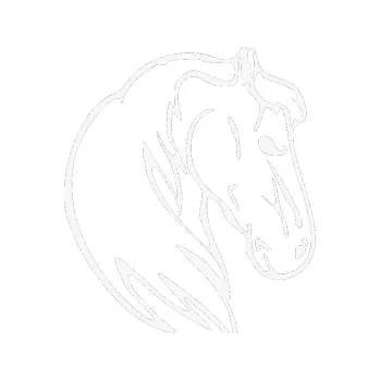 Samolepící dekorace Kůň 026 pravá (09 - bílá) SAMOLEPKA NA AUTO, NÁLEPKA, FÓLIE, POLEP, TUNING, VLASTNÍ TEXT, TISK, AUTOSAMOLEPKY.cz, POLEPY, OBRÁZEK, LOGO, 3D STICKERS