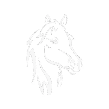 Samolepící dekorace SAMOLEPKA Kůň 030 pravá (09 - bílá) NA AUTO, NÁLEPKA, FÓLIE, POLEP, TUNING, VLASTNÍ TEXT, TISK, AUTOSAMOLEPKY.cz, POLEPY, OBRÁZEK, LOGO, SAMOLEPKY