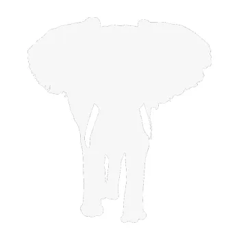 Samolepící dekorace Slon 023 pravá (09 - bílá) SAMOLEPKA NA AUTO, NÁLEPKA, FÓLIE, POLEP, TUNING, VLASTNÍ TEXT, TISK, AUTOSAMOLEPKY.cz, POLEPY, OBRÁZEK, LOGO, 3D STICKERS