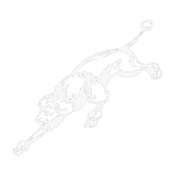 Polep vozidla SAMOLEPKA Pes 022 levá Pudl (09 - bílá) NA AUTO, NÁLEPKA, FÓLIE, POLEP, TUNING, VLASTNÍ TEXT, TISK, AUTOSAMOLEPKY.cz, POLEPY, OBRÁZEK, LOGO, SAMOLEPKY