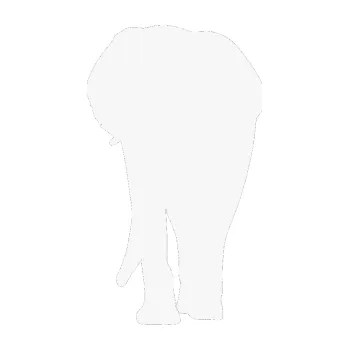 Samolepící dekorace Slon 008 levá (09 - bílá) SAMOLEPKA NA AUTO, NÁLEPKA, FÓLIE, POLEP, TUNING, VLASTNÍ TEXT, TISK, AUTOSAMOLEPKY.cz, POLEPY, OBRÁZEK, LOGO, 3D STICKERS