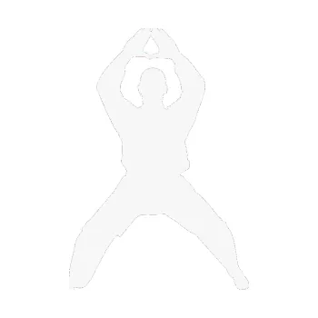 Polep vozidla Karate 003 levá (09 - bílá) SAMOLEPKA NA AUTO, NÁLEPKA, FÓLIE, POLEP, TUNING, VLASTNÍ TEXT, TISK, AUTOSAMOLEPKY.cz, POLEPY, OBRÁZEK, LOGO, 3D STICKERS