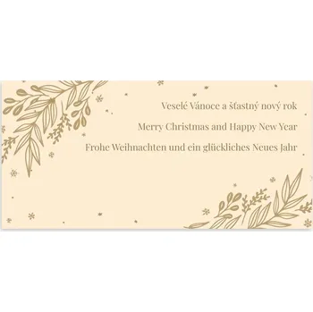 OPTYS Novoročenka větvičky s textem, sada 5 ks