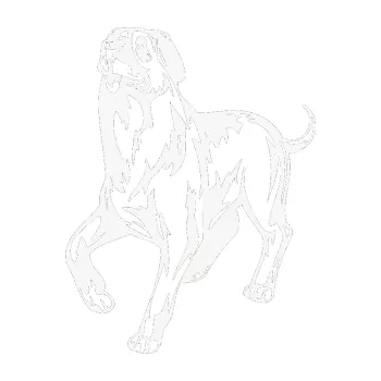 Polep vozidla SAMOLEPKA Pes 047 levá (09 - bílá) NA AUTO, NÁLEPKA, FÓLIE, POLEP, TUNING, VLASTNÍ TEXT, TISK, AUTOSAMOLEPKY.cz, POLEPY, OBRÁZEK, LOGO, SAMOLEPKY