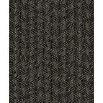 Tapeta Černá geometrická vliesová tapeta na zeď, ZEN405, Zen, Zoom by Masureel