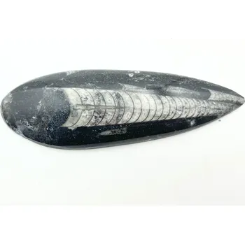 Přírodní kámen Magieprirody.cz Fosilie Orthoceras 135 mm (Maroko) #K679