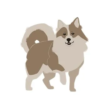 Příslušenství k deskovým hrám Greenland Promo