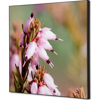 Značení Textilní dekorace na zeď 40 x 40 Květy rostliny Erica