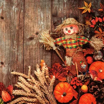 Papírový ubrousek UBR-E50, Ubrousek, 16x16 cm, PODZIM - STRAŠÁK, 1 kus