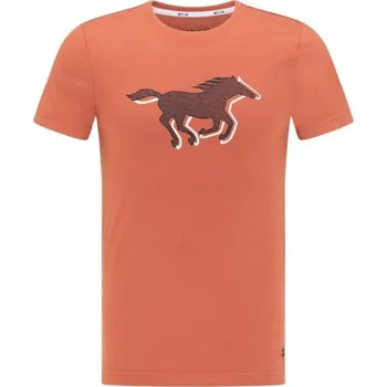 Pánské tričko Pánské tričko Aaron C Print M 1009522 7103 - Mustang 2XL