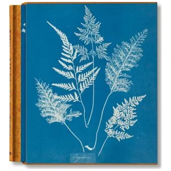 Anna Atkins. Cyanotypes – Peter Walther (DE)