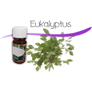 Vůně do bytu Vonný olej Eukalyptus - vonnekameny.cz