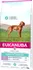 Krmivo pro psa Eukanuba Daily Care Puppy Sensitive Digestion Turkey/Chicken 12 kg