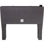 truhlík RATO CASE HIGH 60x25x46cm HN tm. (440U)