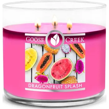 Svíčka Goose Creek Candle svíčka Dragonfruit Splash, 411 g