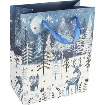 Dárková taška Papírová taška A0100/1