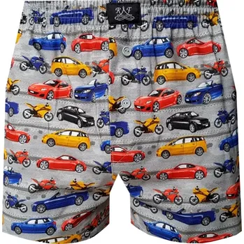 Pánské spodní prádlo Pánské Trenkoslipy FOLTÝN PTS 250 Velikost: 3XL