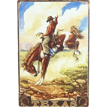 Plechová cedule Retro plechová cedule TEXAS 20x30 (Kovová cedule na zeď)