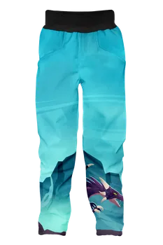 Chlapecké kalhoty WAMU Softshellové kalhoty Dragon Fantasy modré