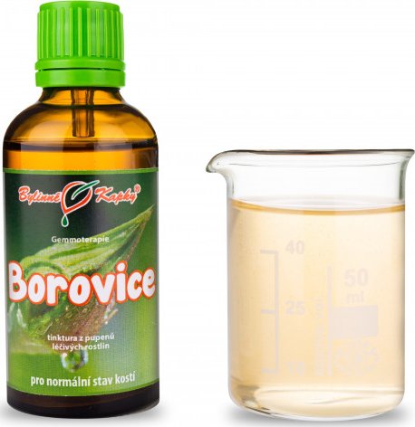 Bylinné kapky s.r.o. Borovice - tinktura z pupenů (gemmoterapie) 50 ml | Bylinné kapky