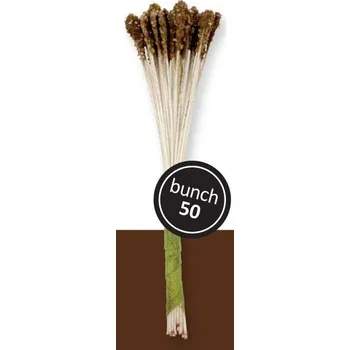 Přisada na vaření a pečení Pestíky – lilie hnědá 50 ks - PME