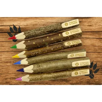 Pastelka Farmapark u Toma Pastelky 12 ks - **různé barvy**