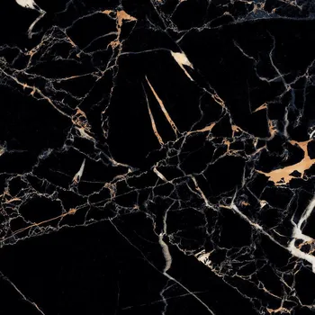 Dlažba Dlažba Sahara Noir Pol. Rekt 60/60